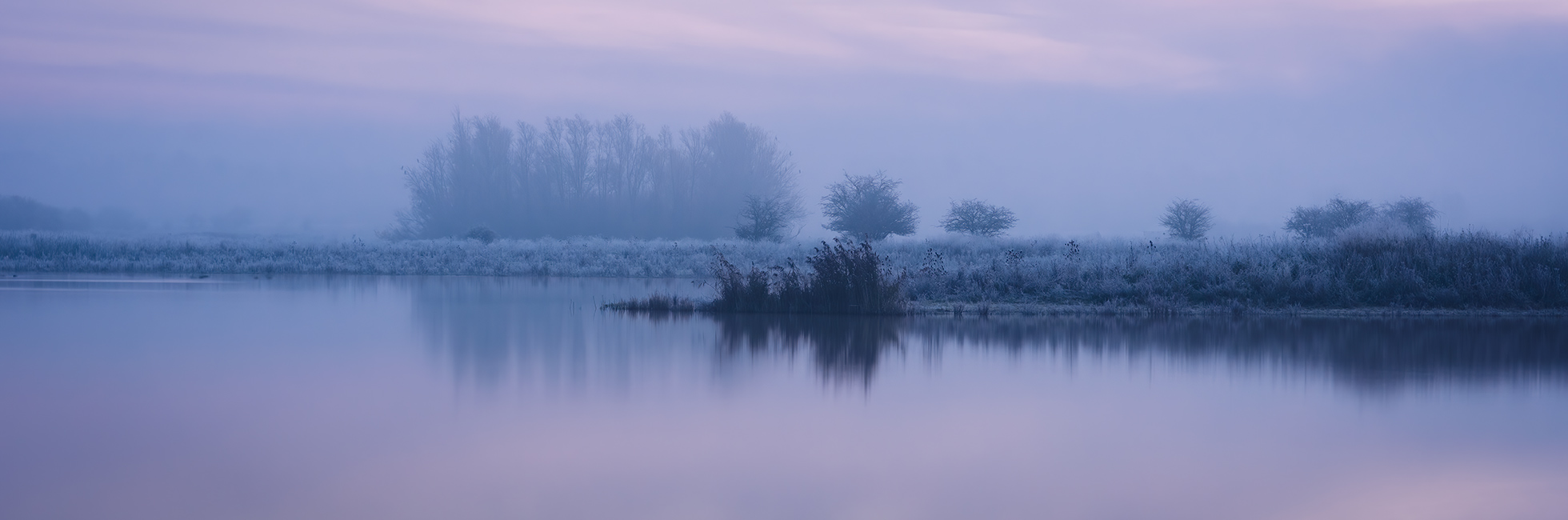 Blauwe uur Oostvaardersveld Lelystad