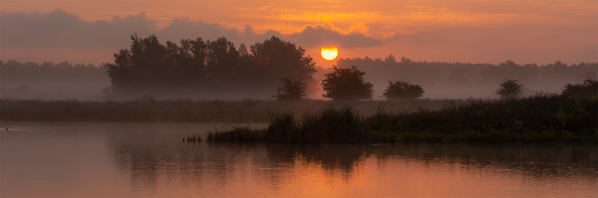 Oostvaardersveld Lelystad