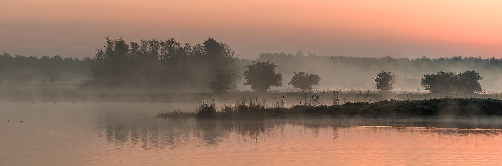 Oostvaardersveld Lelystad