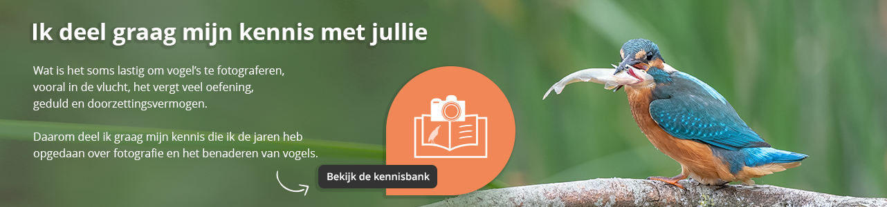 Bekijk de kennisbank van Pieter Bosch fotografie, over het fotograferen en benaderen van vogels in de natuur