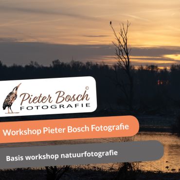 Prive workshop basis fotografie