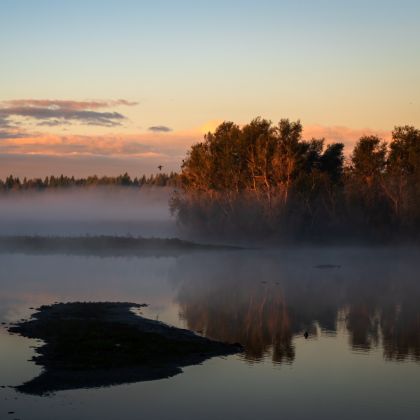 Oostvaardersveld_Z_62_0872.jpg