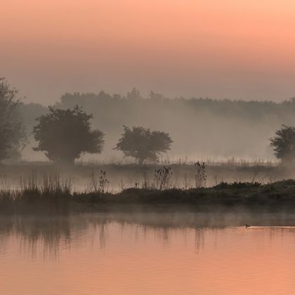 Oostvaarderplassen