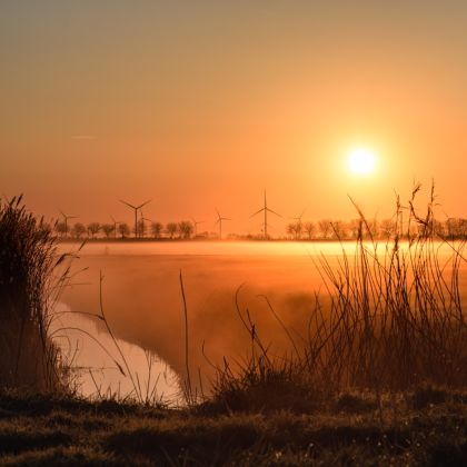 4768_schagen.jpg