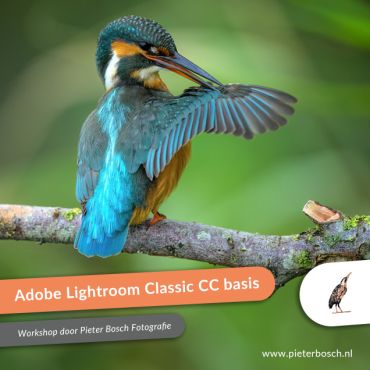 Workshop Adobe Lightroom Classic CC basis