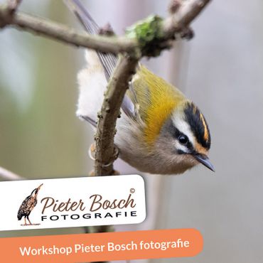 Workshop Adobe Lightroom Classic CC basis