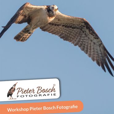 Workshop Adobe Lightroom Classic CC voor gevorderden