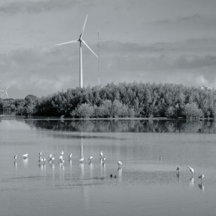 DSC_0126-bewerkt.jpg